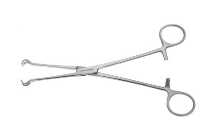 Babcock Forceps 8 inch, Jaws 10mm Wide1