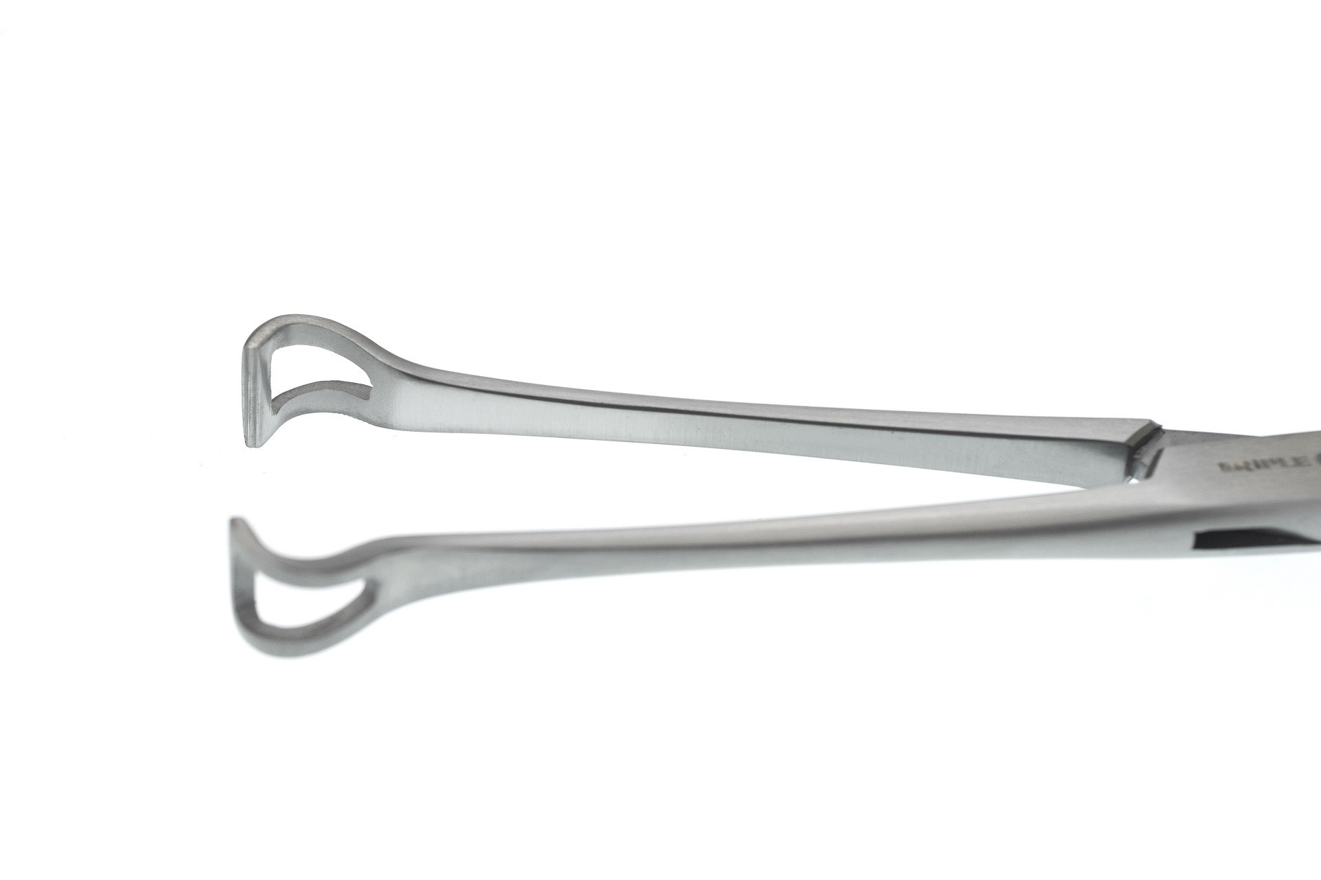 Babcock Forceps 8 inch, Jaws 10mm Wide3